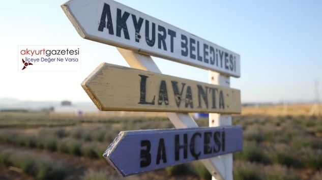 Akyurt Lavanta Bahçesi Ziyaretleri Başlıyor